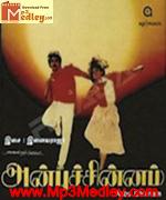 Anbu Chinnam 1990 song download